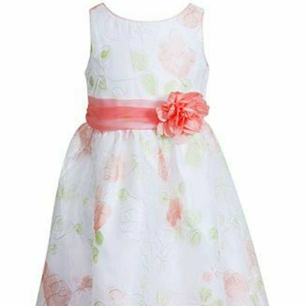 Sweet Heart Rose Dress children size 6👗
